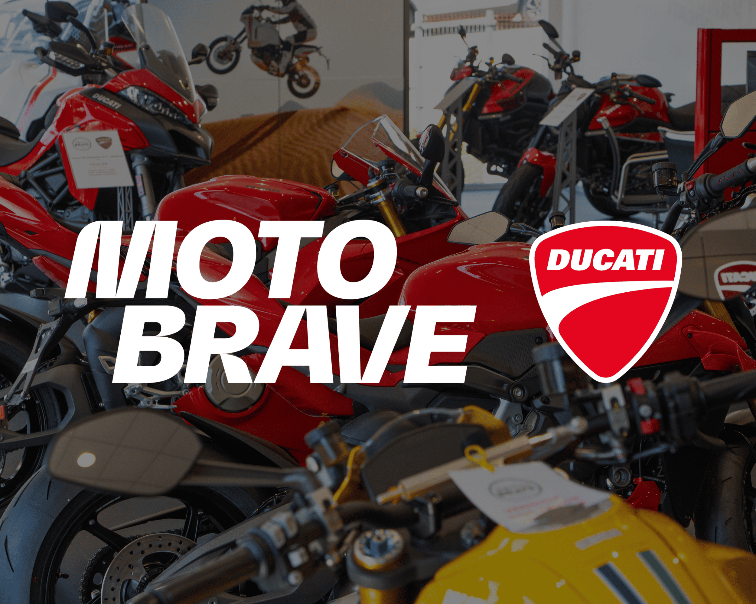 diseno-para-web-motobrave (3)